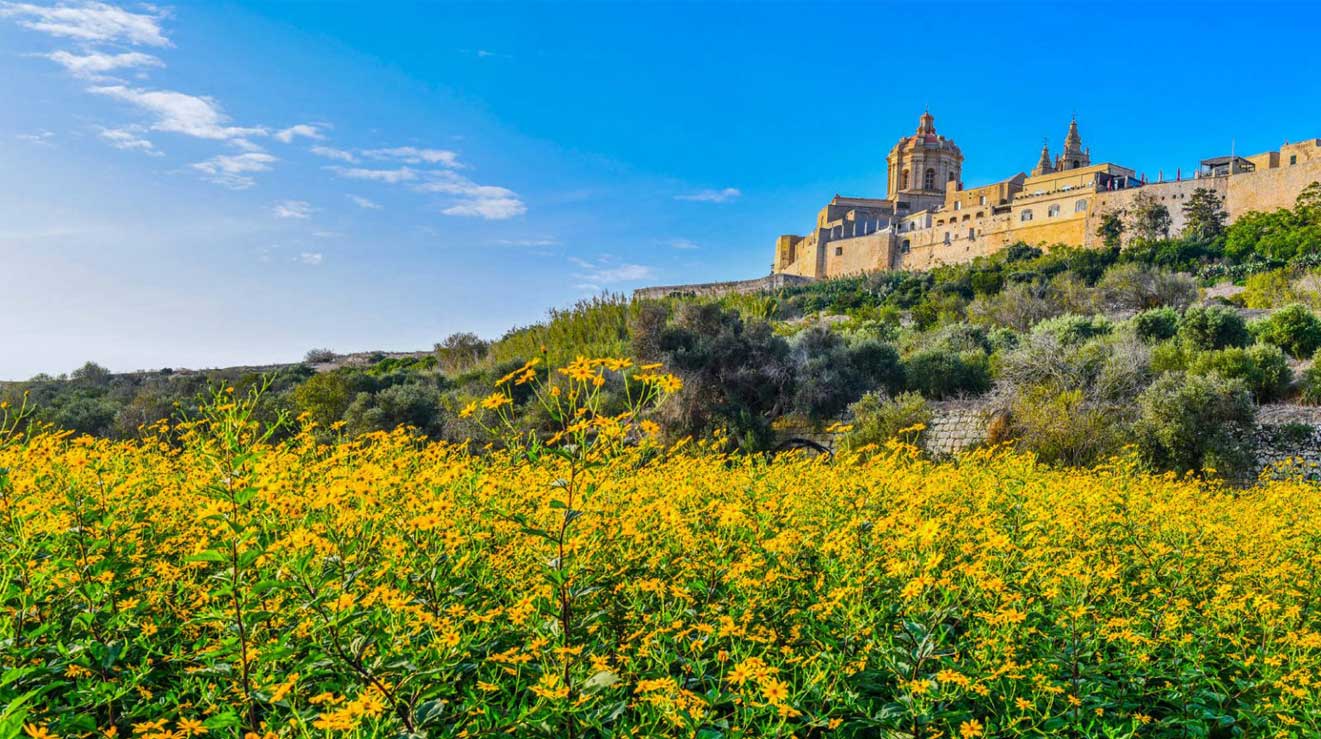 Visit one Maltese church a day, and it would take a whole year to see them all